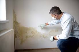 Why You Should Choose Our Mold Remediation Services in Beach City, TX